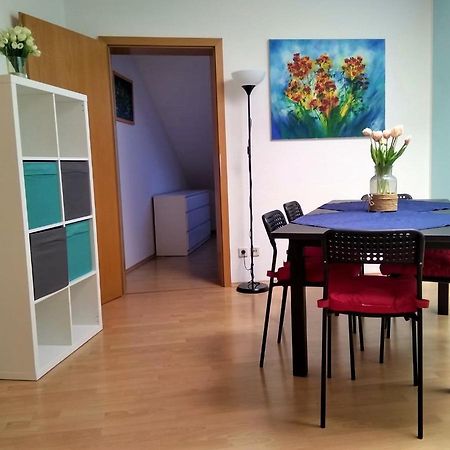 Gaestewohnung 4-Raum Wohnung Fuer 2-8 Personen 츠비카우 외부 사진